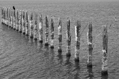 High angle view of wooden posts in sea