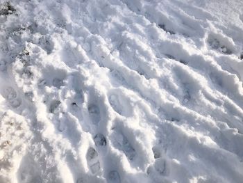 Full frame shot of snow