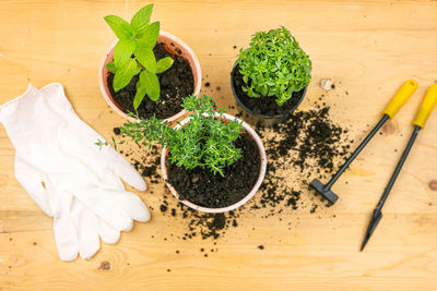 High angle view of vegetables on table