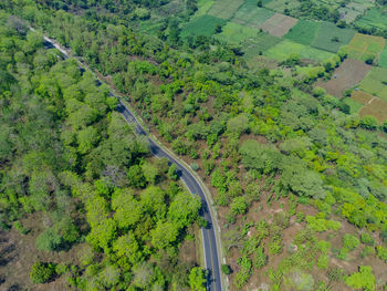 Aerial shot of road between the forests in national park situbondo, east java