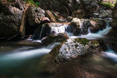 Scenic view of waterfall in forest