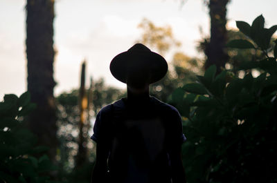 Rear view of silhouette man against tree