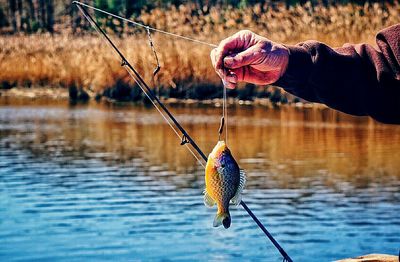 Man fishing net in lake