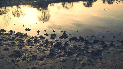 Scenic view of lake at sunset