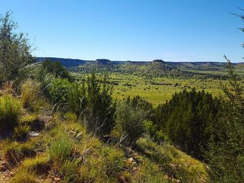 Scenic view of landscape against clear blue sky