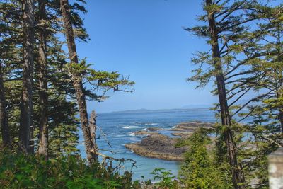 Scenic view of sea against clear blue sky