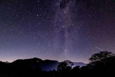 Low angle view of silhouette trees against sky at night