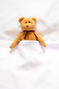 Close-up of stuffed toy against white background