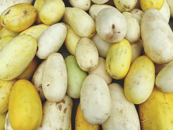 Cantaloupe on market