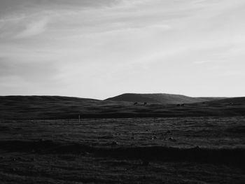 Scenic view of rural landscape