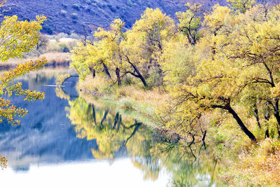 Scenic view of lake in forest during autumn