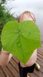 Close-up of green leaf in water