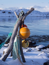 Close-up of frozen fishing net in lake during winter