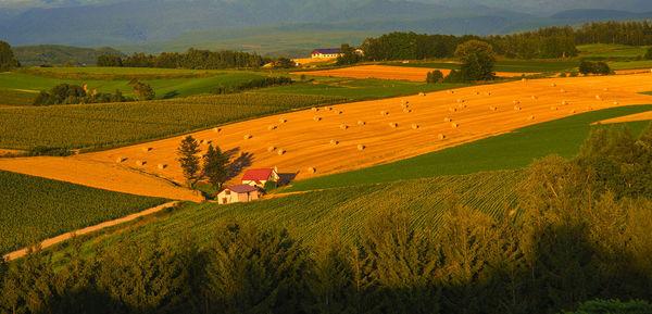 Beautiful rural scenery in biei, hill town