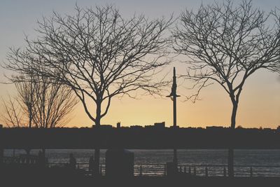 Silhouette of bare trees at sunset