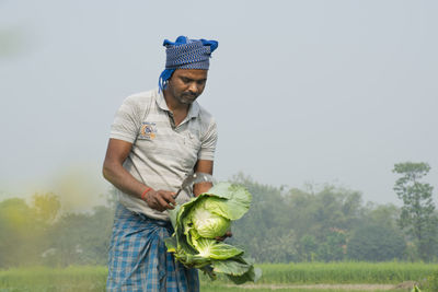 Farmer harvesting vegetable at farm land