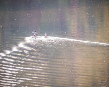 People on boat in lake