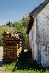 Stack of firewood by barn