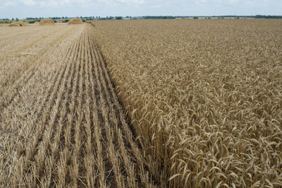 Scenic view of field against cloudy sky