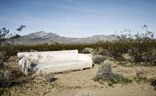 Abandoned couch in the mojave desert near primm, nevada