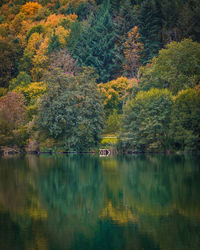 Scenic view of lake in forest during autumn