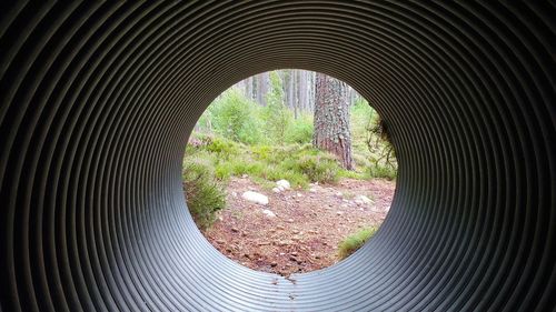 Seen through arch