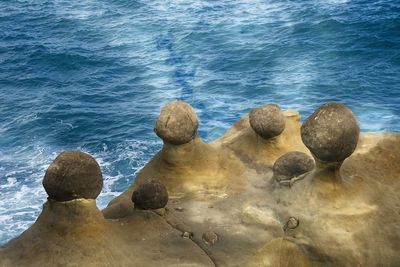 High angle view of rocks on beach