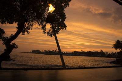 Silhouette trees by river against sky during sunset