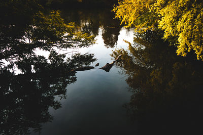 Reflection of trees in lake against sky during autumn