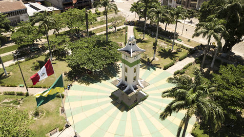 High angle view of palm trees and buildings