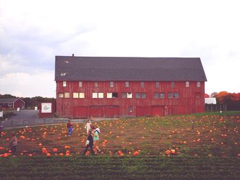 People on field against clear sky