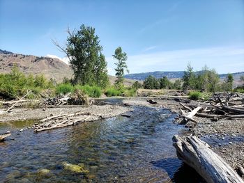 Scenic view of river against sky