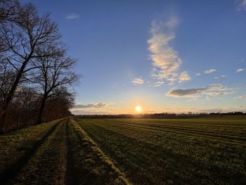 sky