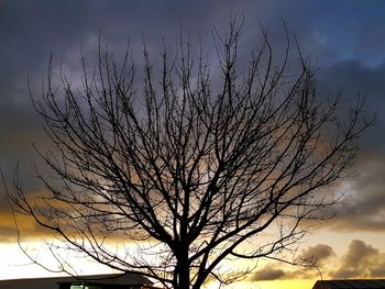 Low angle view of bare trees against sky at sunset