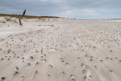 Scenic view of beach against sky. baltic sea. poland