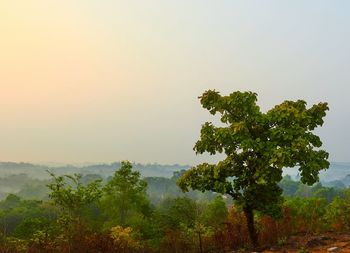 Scenic view of landscape against clear sky