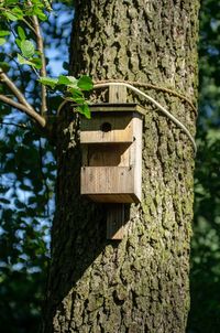 Close-up of birdhouse on tree trunk in forest