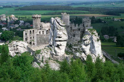 Castle amidst tree on landscape