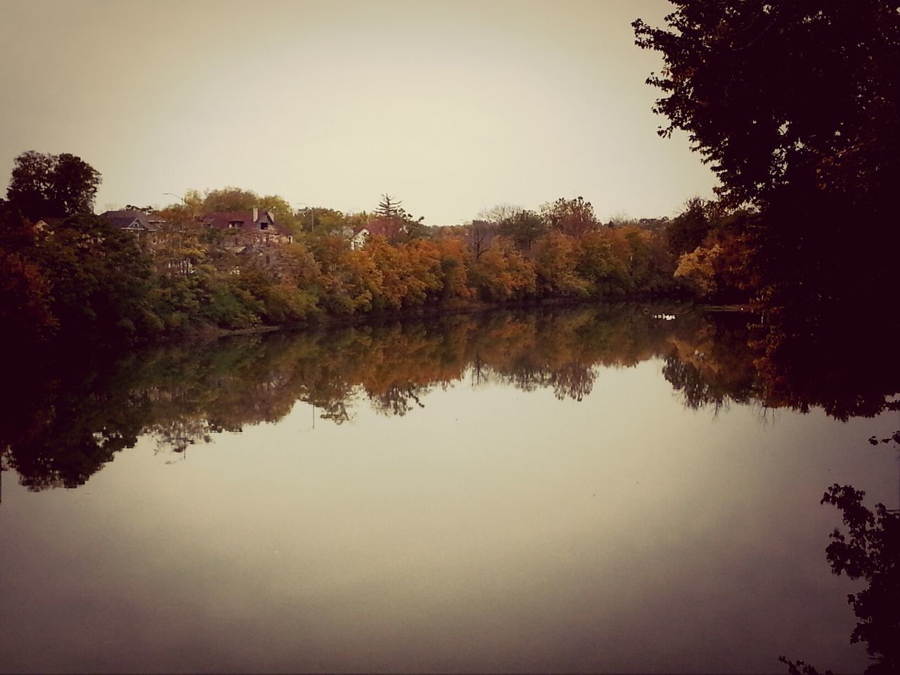 Island MetroPark