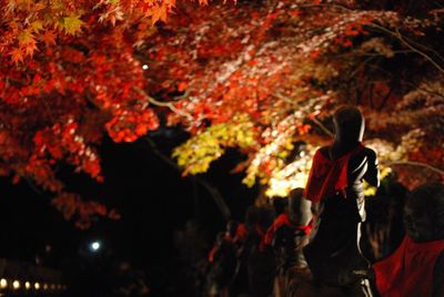 Rear view of woman standing by trees during autumn