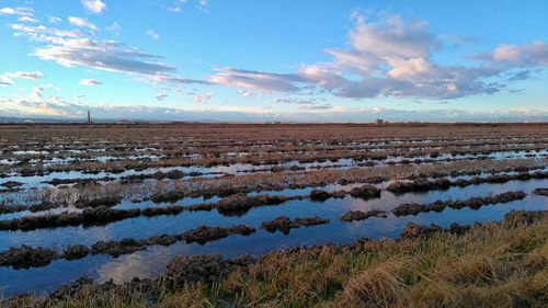 Scenic view of field against sky