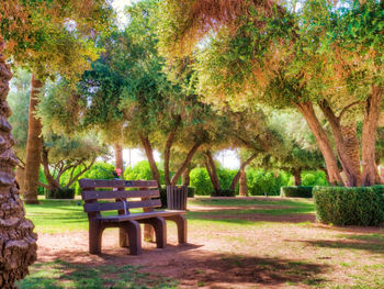 Bench in park during autumn