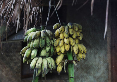 Close-up of fruits hanging at market stall