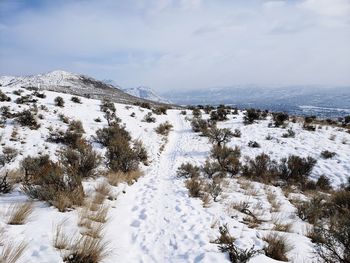 Snow covered land and mountains against sky