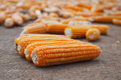 Close-up of sweetcorns on walkway