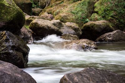 Scenic view of waterfall in forest