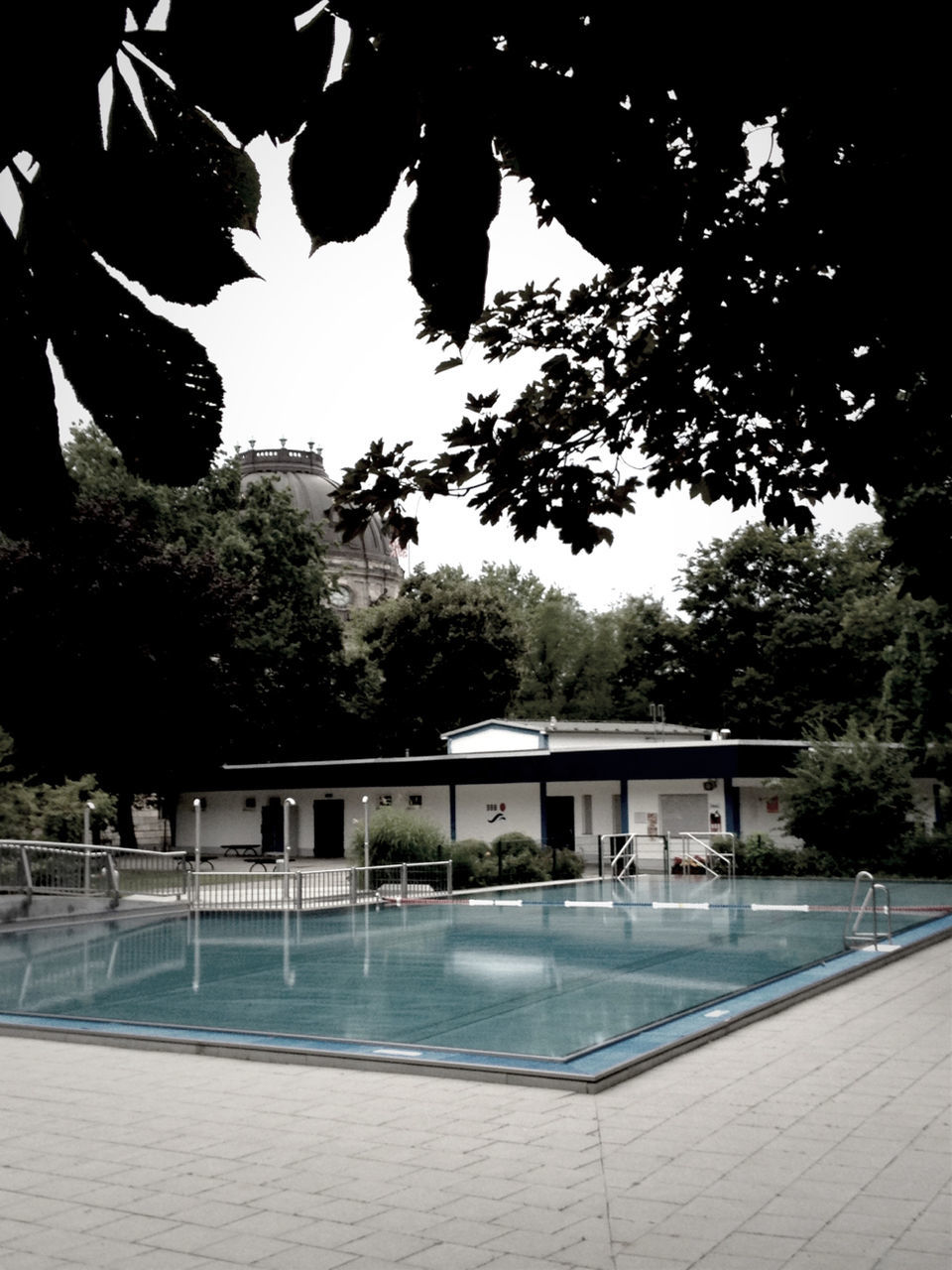 tree, water, swimming pool, park - man made space, built structure, growth, nature, reflection, tranquility, architecture, sunlight, sky, branch, railing, pond, fountain, outdoors, day, table, shadow