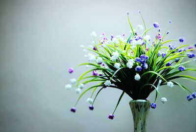Close-up of purple flowers