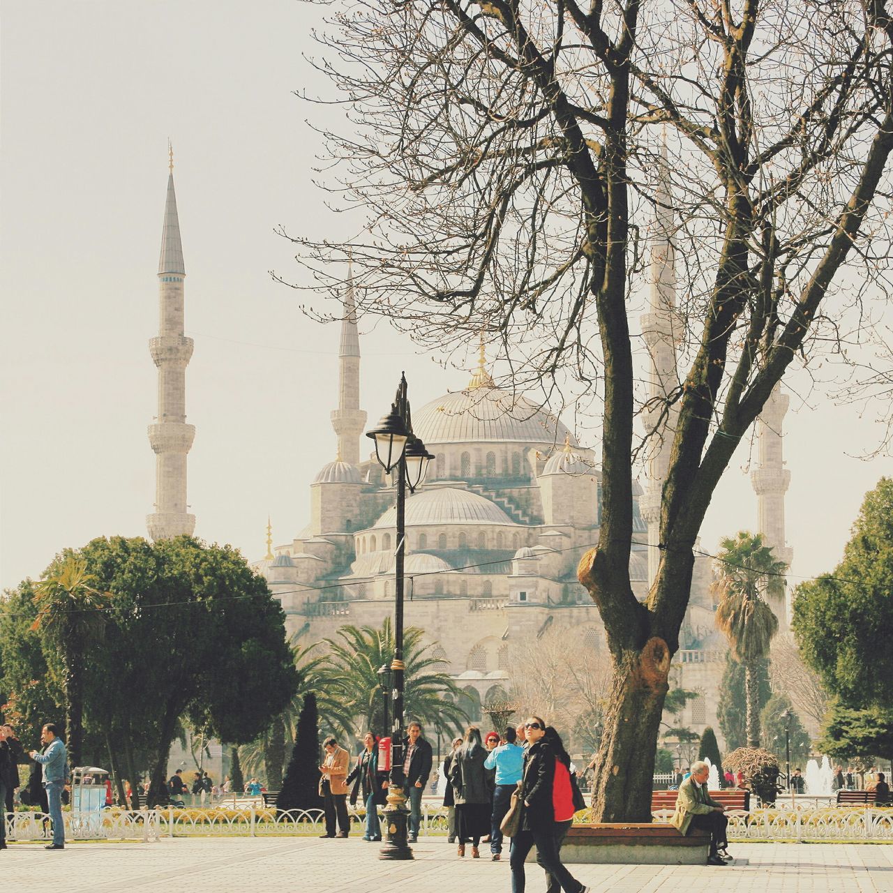 tree, architecture, person, men, built structure, tourist, large group of people, lifestyles, tourism, famous place, building exterior, leisure activity, travel destinations, travel, walking, clear sky, mixed age range, international landmark, religion