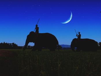 Scenic view of star field against clear sky at night